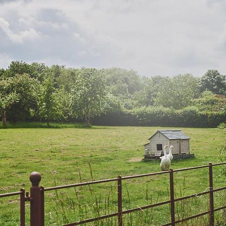 Apple Tree Cottage Beckford Exterior foto